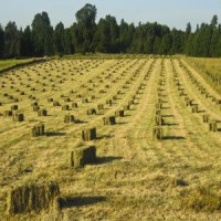 /album/galeria/a1361223171172353634-jpg1/