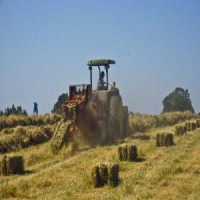 /album/galeria/a13612231721520036662-jpg2/