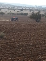 /album/galeria/a544-jpg/