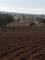 /album/galeria/a545-jpg/