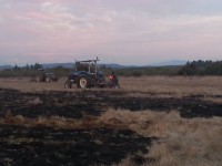 /album/galeria/a547-jpg/